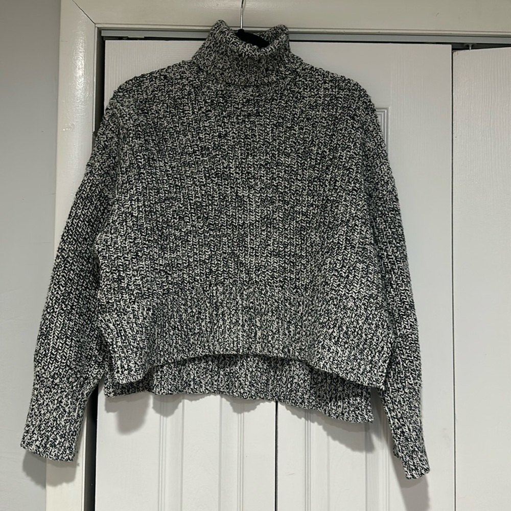 Madewell Turtle Neck Sweater